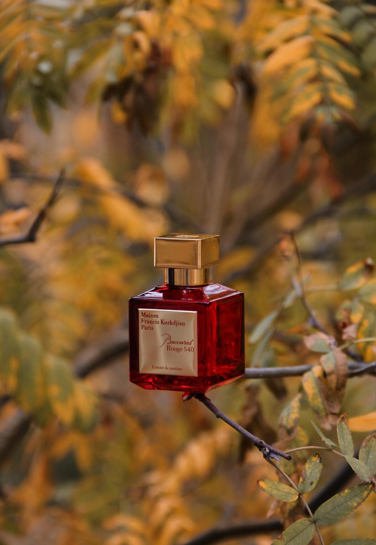 Baccarat Rouge 540 Extrait de Parfum – Unisex