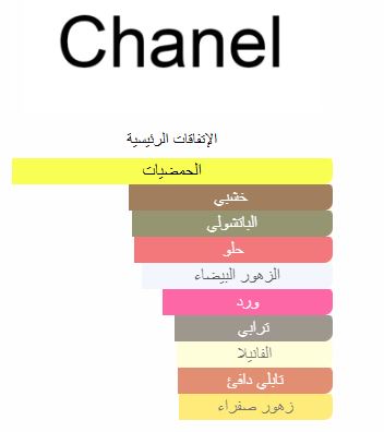 Coco Mademoiselle Chanel Eau de Parfum – Women
