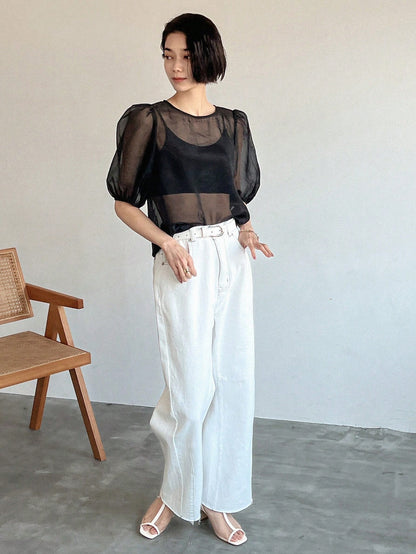 SHEIN FRIFUL Mesh Puff Sleeve Top