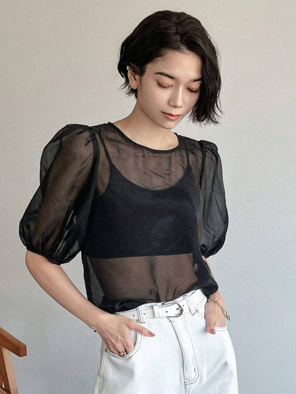 SHEIN FRIFUL Mesh Puff Sleeve Top