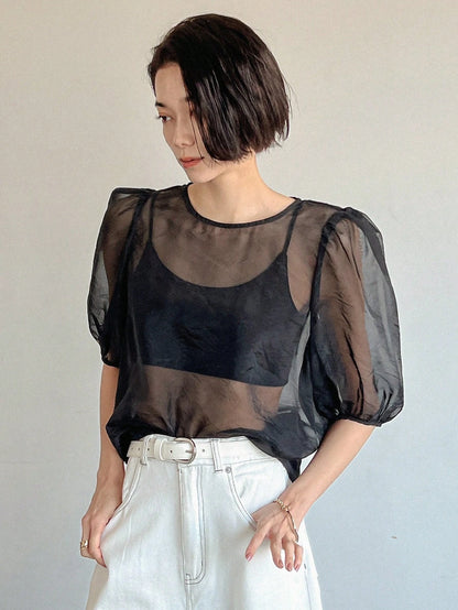 SHEIN FRIFUL Mesh Puff Sleeve Top