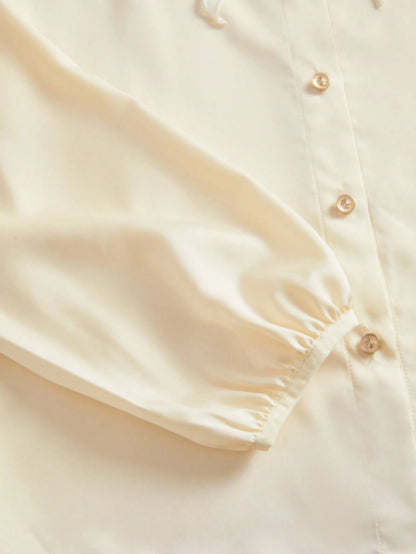 SHEIN Anewsta Embroidered V-Neck Blouse